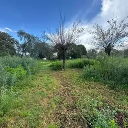 Dos lotes de terreno Mitimay |600M2| Recibo vehiculo automotor, financio y vendo