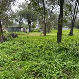 Dos lotes de terreno Mitimay |600M2| Recibo vehículo automotor, financio y vendo