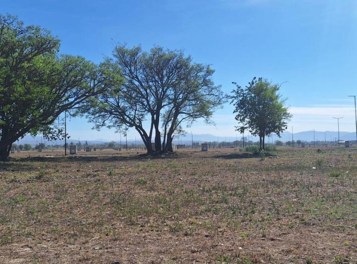 Terreno · 312m²