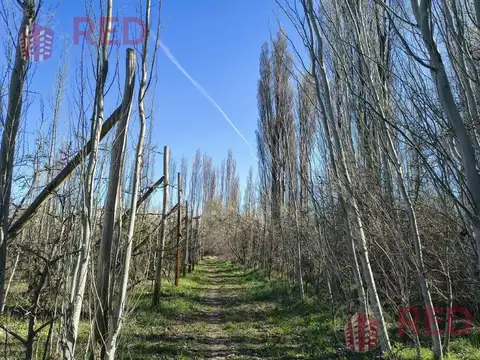 Terreno en Venta en Vista Alegre Sur, Confluencia