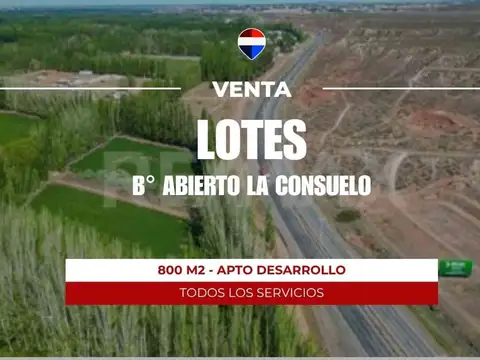 Terreno en Venta en Centenario, Confluencia