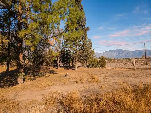 Terreno en Venta en Maipú, Mendoza