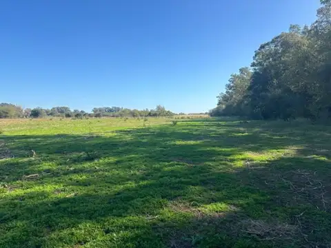 Campo en Venta en San Pedro, Partido de San Pedro