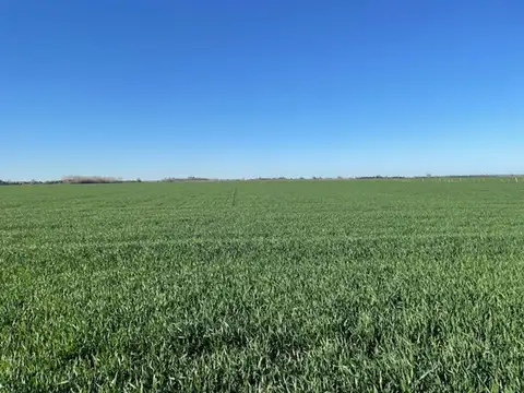 Campo en Venta en San Pedro, Partido de San Pedro