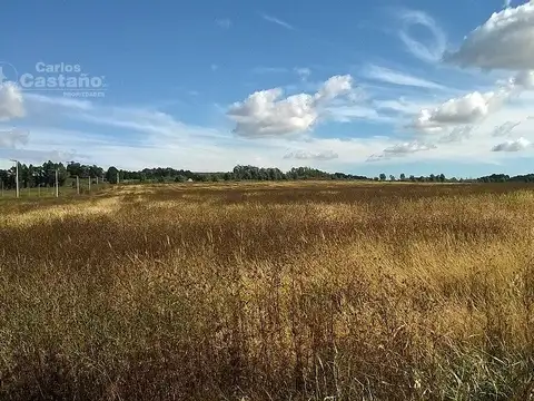 Campo en Venta en La Numancia, Partido de Tandil