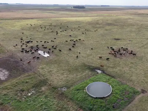 Campo en Venta en Camarón Chico, Partido de Pila