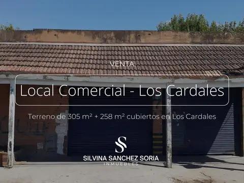 Local en Venta en Los Cardales, Partido de Exaltación de la Cruz