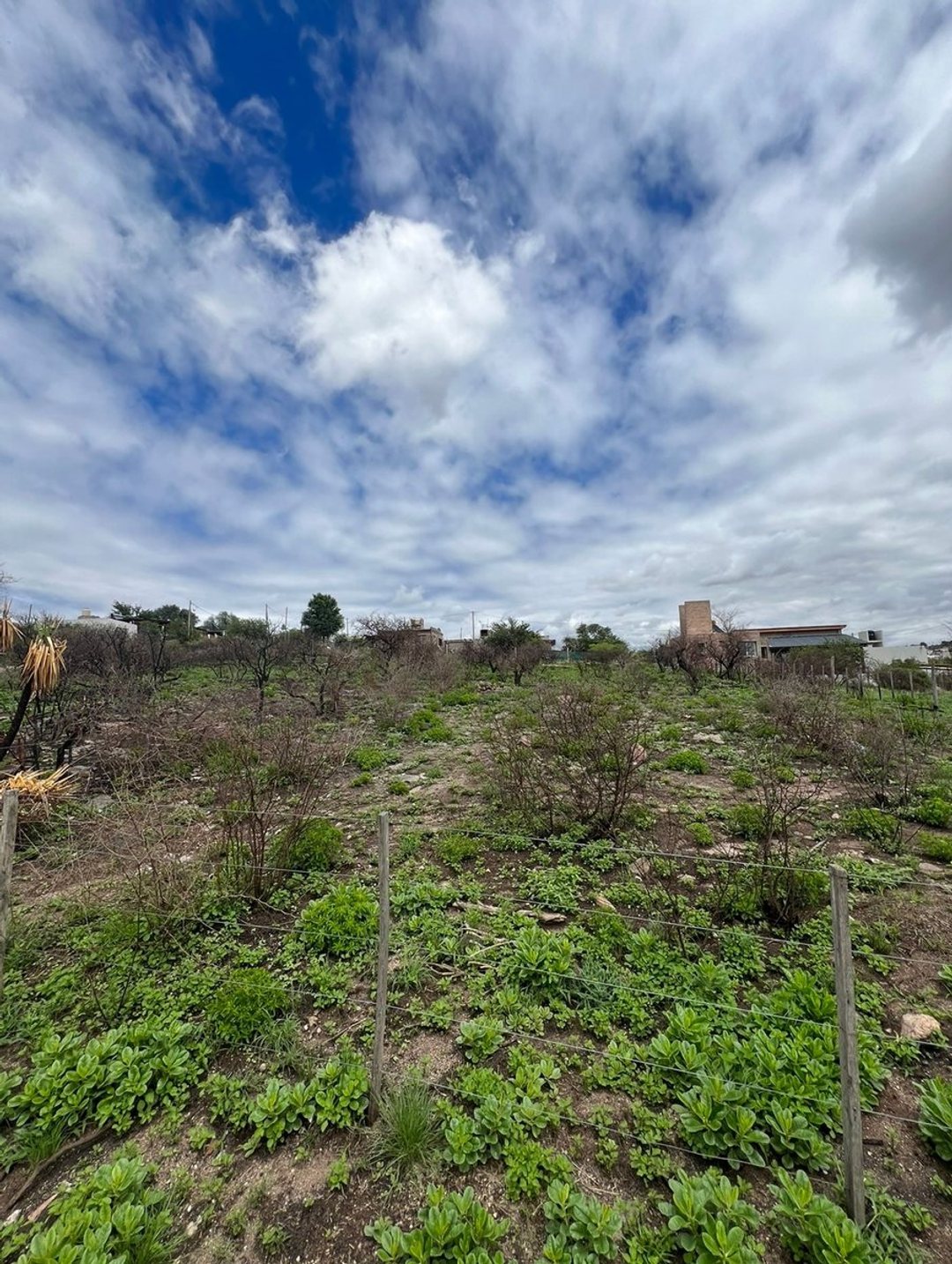 VENTA TERRENO ESTANCIA VIEJA