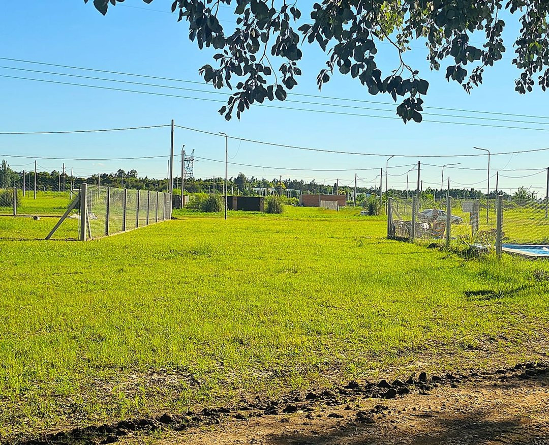 Venta Lote Palo Alto - Alvear, Santa Fe