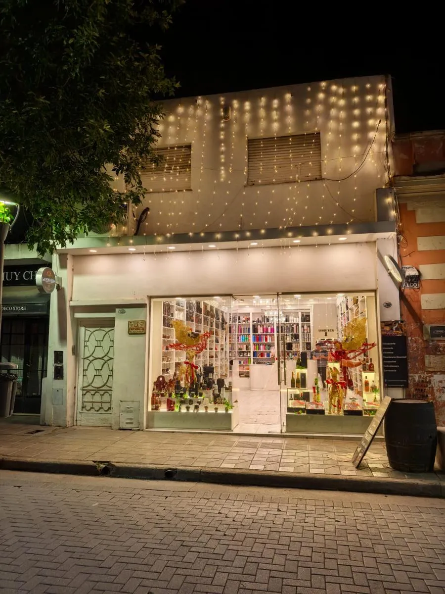 GUEMES: LOCAL CON RENTA + DEPTO INDEPENDIENTE