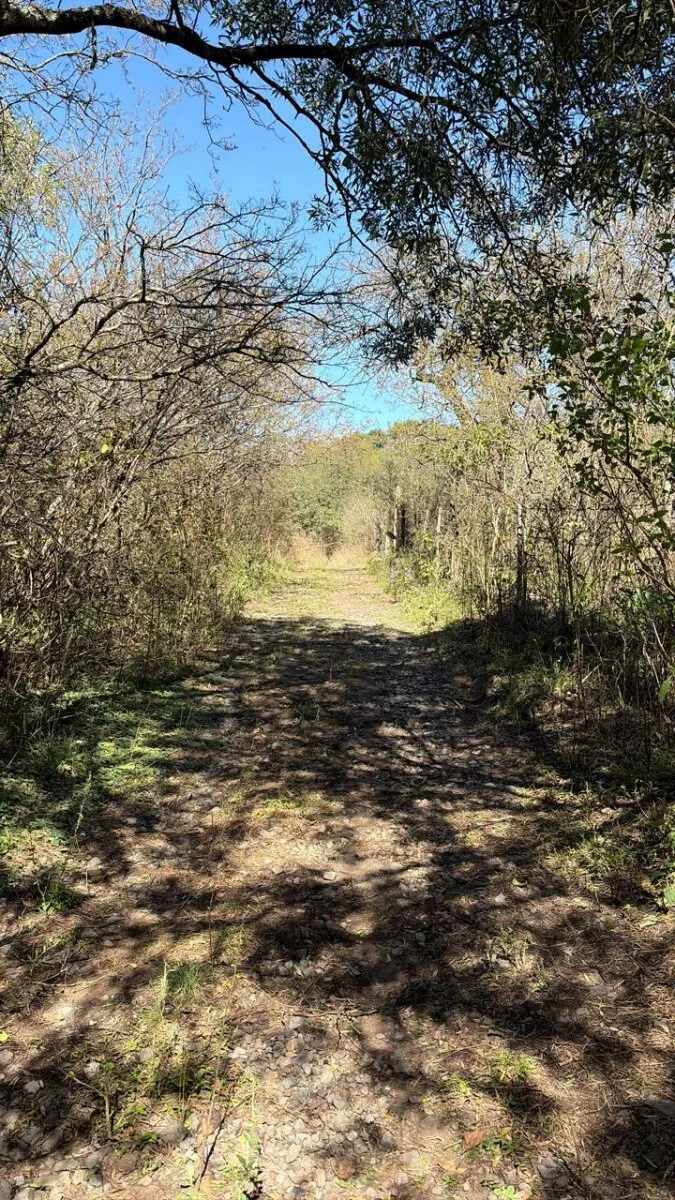 LOTE A LA VENTA EN UNQUILLO .HERMOSA VISTA