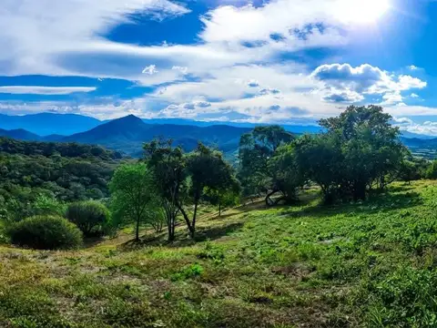 Terreno - zona norte