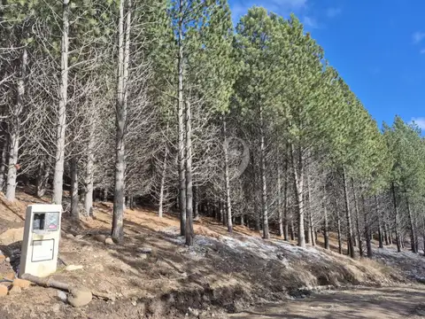 Lote rd11 en barrio el remanso con fondo a espacio verde en san martín de los andes