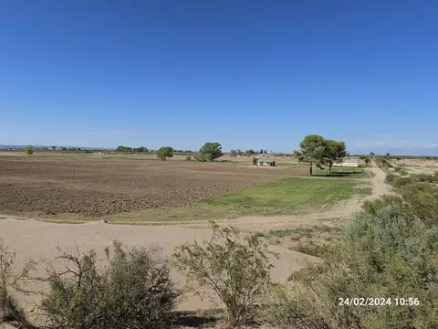Venta finca 120 hectáreas  carrizal lujan de cuyo