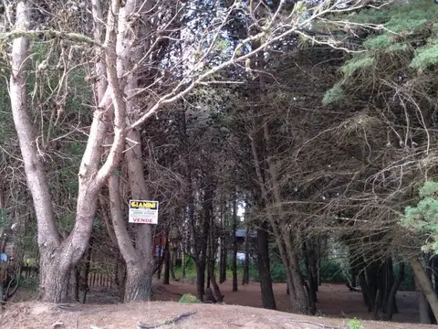 Terreno en Venta en Pueblo San Jose, Partido de Coronel Suárez
