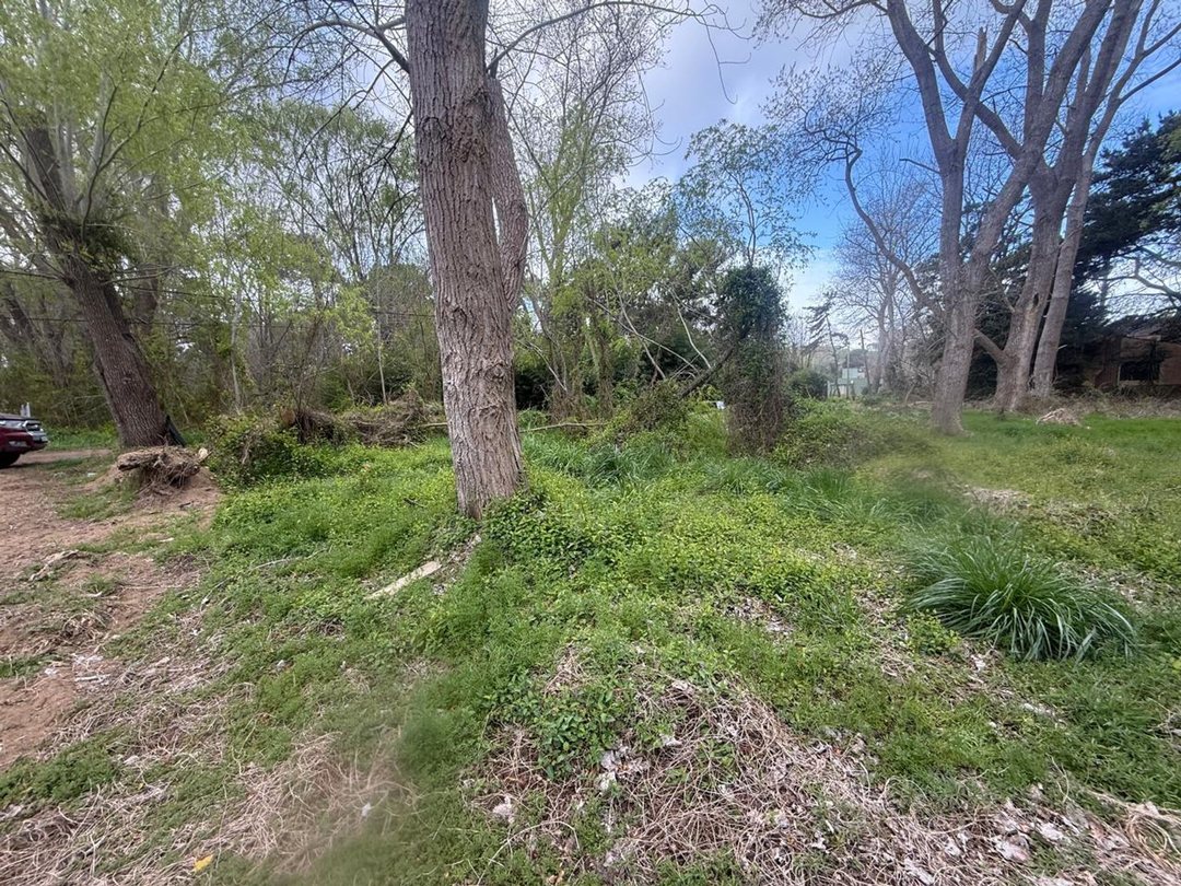 VENTA LOTE COSTA DEL ESTE 550 METROS