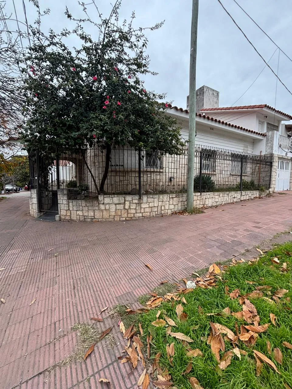 CASONA EN ALQUILER USO COMERCIAL GRAL PAZ