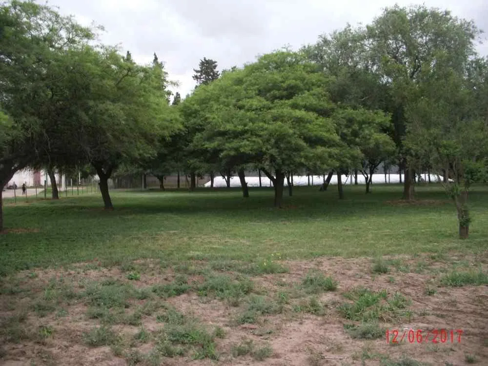 Copia de RIO SEGUNDO!!! LOTES EN VENTA: