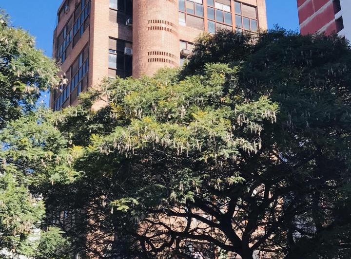 Departamento · 51m² · 3 Ambientes