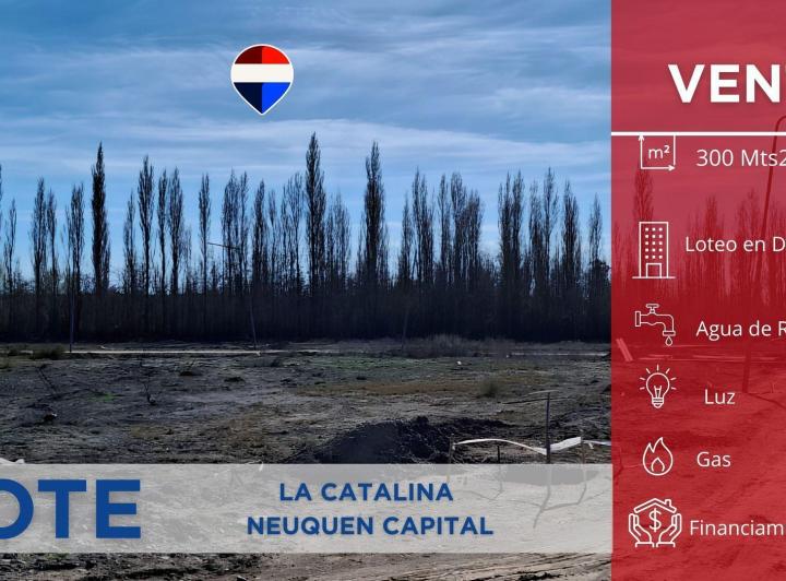Terreno · 300m²