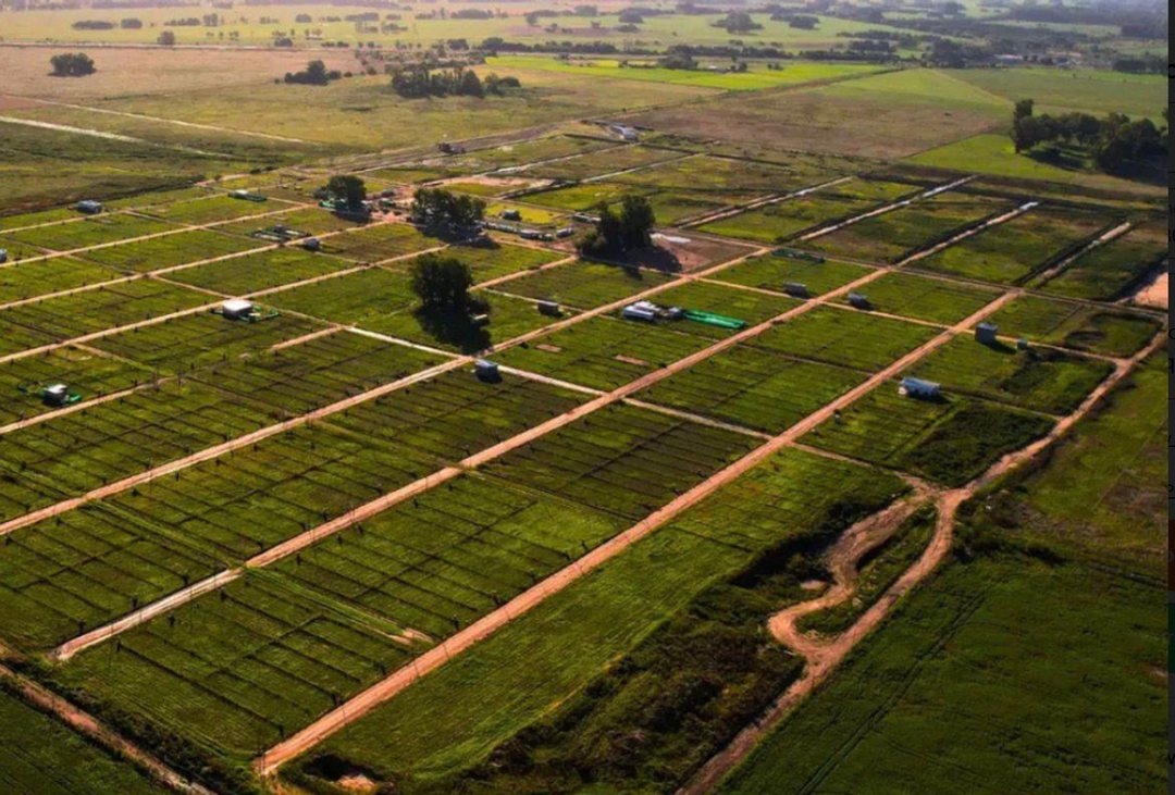 LOTE EN VENTA EN LA RESERVA DEL OESTE