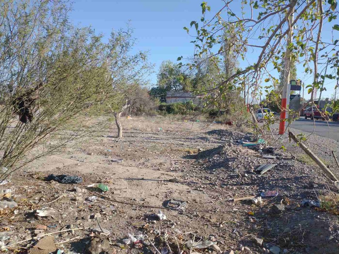 Terreno de 12.500 m2 en Chimbas