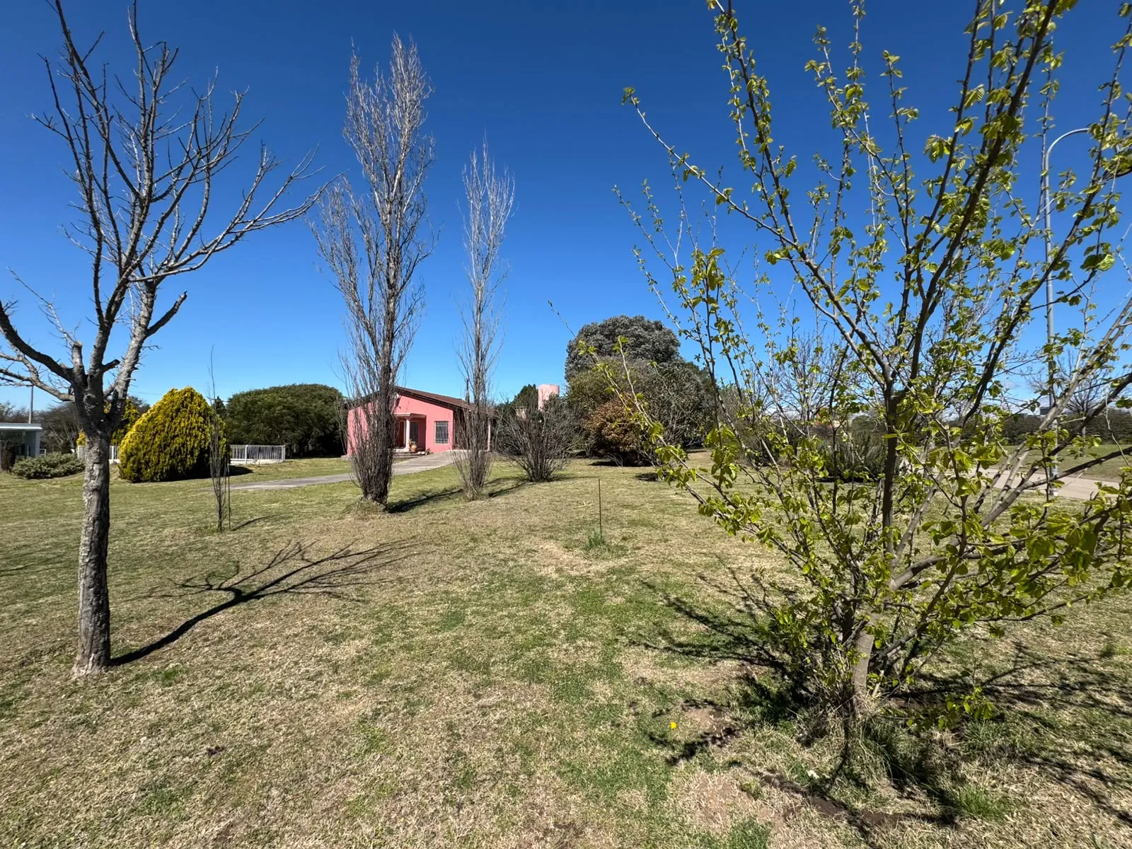 Alquilá 2000m2 de "quiero vivir acá"