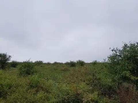 Venta campo de 9.700 hectáreas - santiago del estero