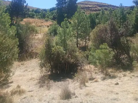 Terreno en villa ayelen el maitenal