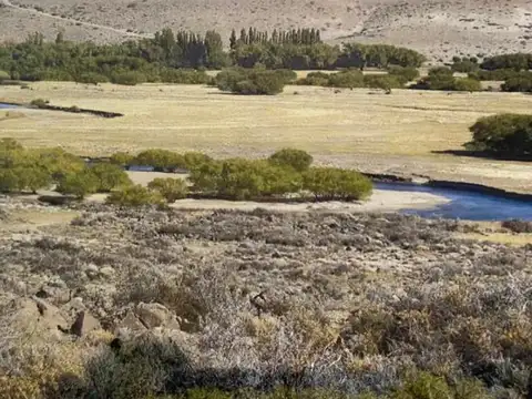 Espectacular campo loteado en facundo - rio senguer 5000 has
