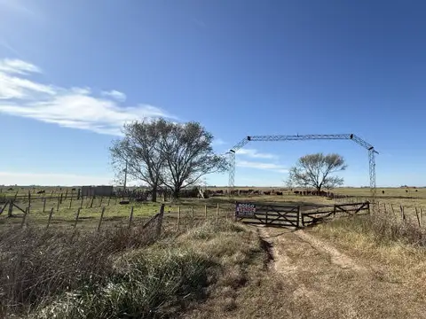 Campo en Venta en Elortondo, General López