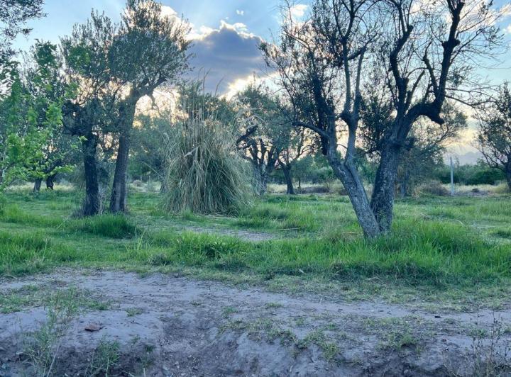 Terreno · 677m²