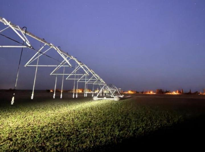 Campo · 150ha