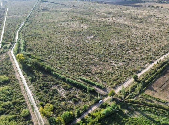 Campo · 254m²