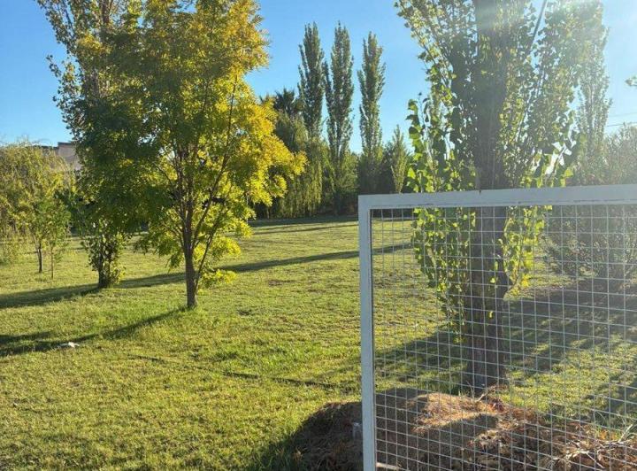 Terreno · 1600m²
