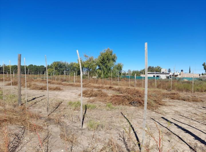 Terreno · 604m²