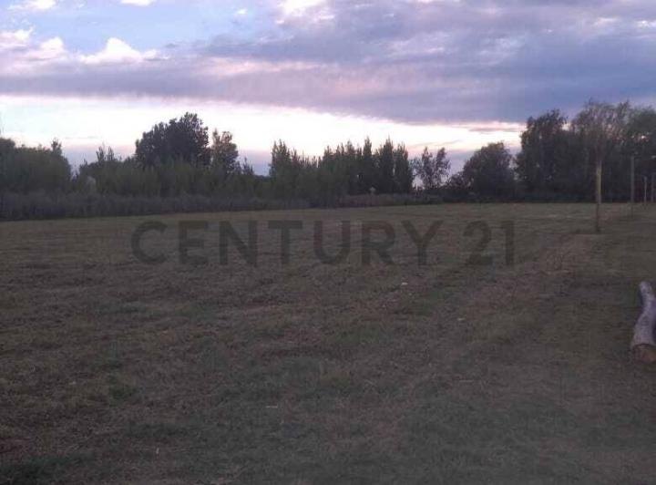 Terreno · 3700m²