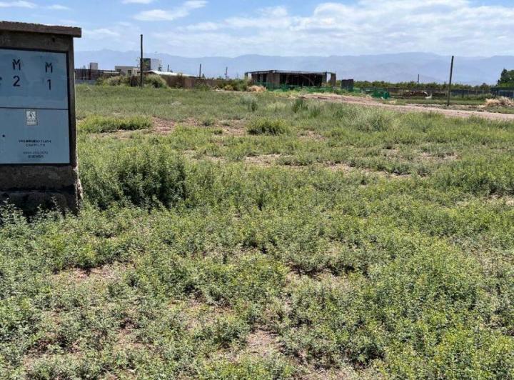 Terreno · 600m²