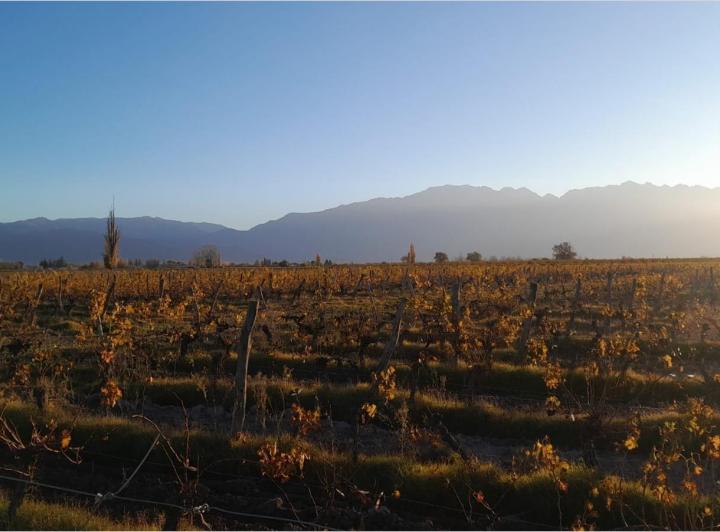 Campo · 15ha · 4 Ambientes