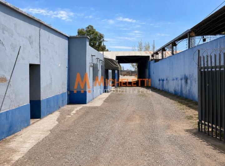 Bodega-Galpón · 1668m² · 5 Ambientes