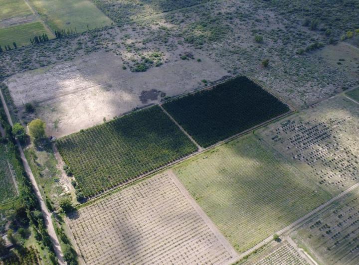 Campo · 160m²
