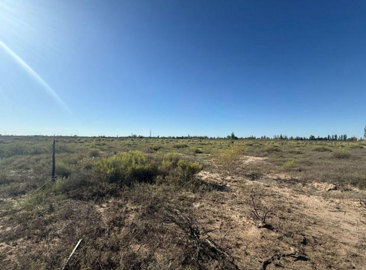 Campo · 12ha