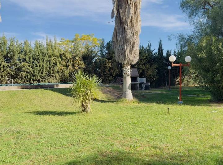 Campo