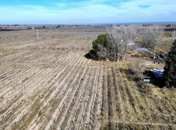 Campo · 74ha