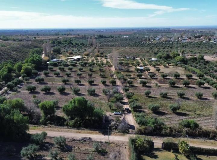 Campo · 2m²