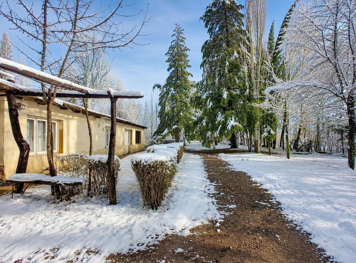 Casa · 240m² · 5 Ambientes · 2 Cocheras