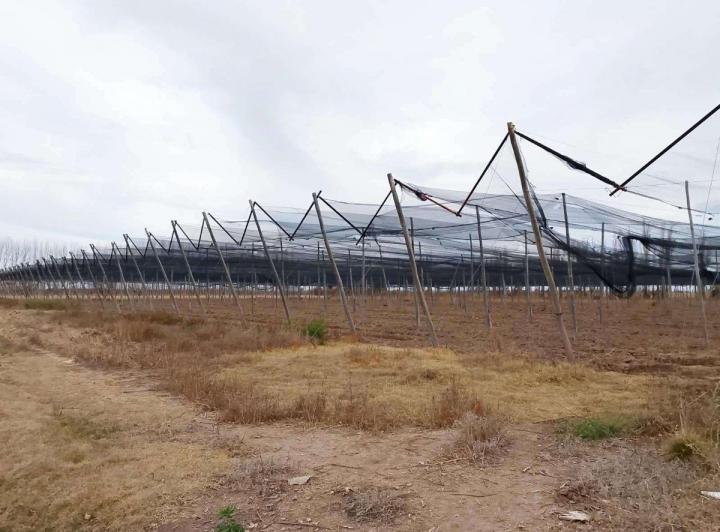 Campo · 136622m²