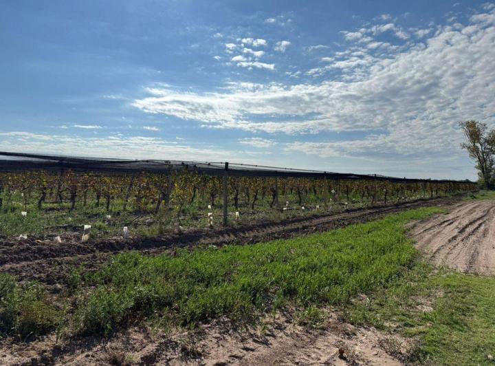 Terreno · 500000m²