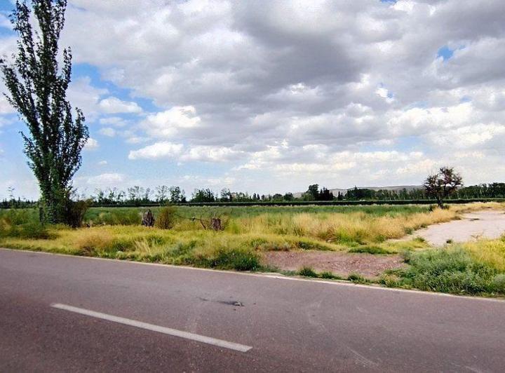 Campo · 5ha