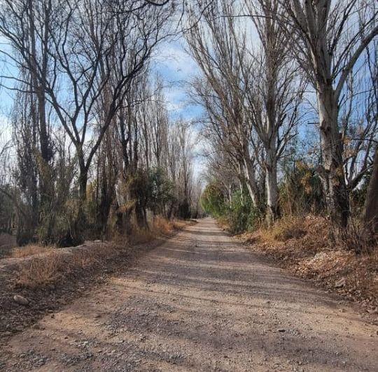 Terreno · 2700m²
